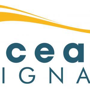Alternative view of Ocean Signal RescueME EDF1 | Electronic Distress Flare
