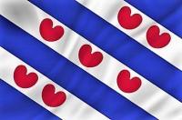 Provincievlag Friesland | Friesland vlag | bootvlag Friesland