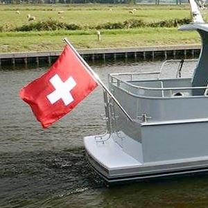 Alternative view of Vlag Zwitserland