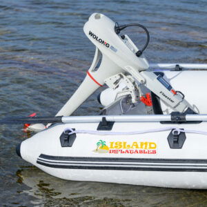 Alternative view of Wolong Flowstar 1.0 kW Elektrische Buitenboordmotor