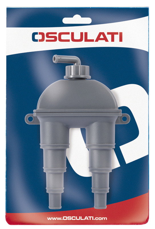 Osculati Beluchter - Afbeelding 2